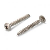 door hinge screws