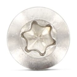 DIN 966 A4 M 5X6 TX25 (Pack of 500)