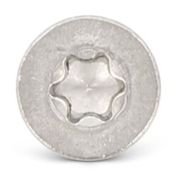 DIN 7504  AISI 410  O 3,9X25 TX15 (Pack of 1000)