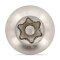 Art. 9121 A2 M 5X40 TX-PIN 25 (VPE 100 Stk)
