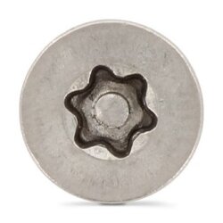 Art. 9123 A2 M 5X20 TX-PIN 25 (VPE 100 Stk)