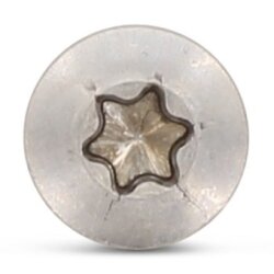 Art. 9046 A2 4,5X25 TX20 (VPE 500 Stk)