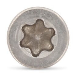 Art. 9243 A4 5,5X80/36 TX25 (VPE 100 Stk)