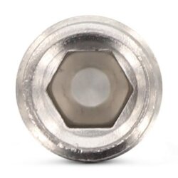 ISO 4029 A4 M 6X55 (VPE 200 Stk)
