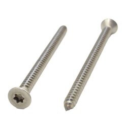 ISO 14586 A4 C 4,2X13 TX20 (VPE 1000 Stk)