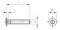 ISO 14584 A4 M 4X12 TX20 (VPE 500 Stk)
